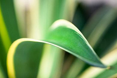 TGA：《我们之中VR》预告 发售日期待定